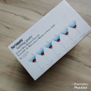 Pier 1 Tasting Party Mini Etched Martini Glass Set